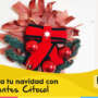 Viste tu navidad🌲con colorante para teñir Citocol